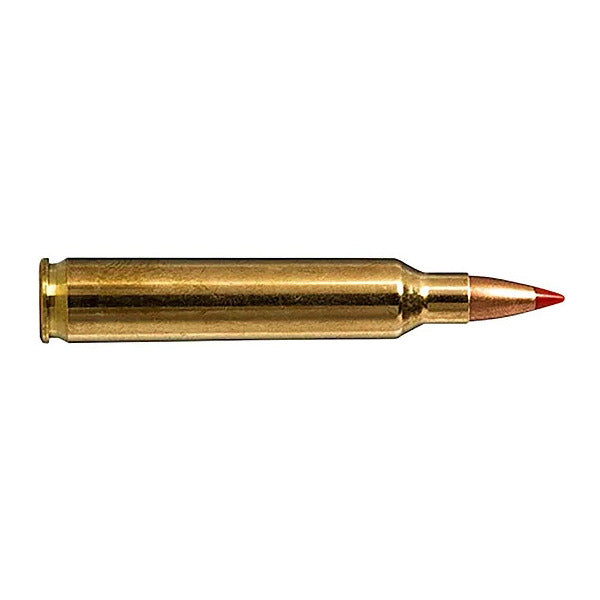 Norma 204 Ruger Ammunition 40 Grain Hornady V-MAX Polymer Tip Box of 20