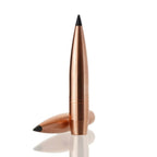 Cutting Edge Bullets Lazer Long Range Single Feed 45 Caliber (.458 Diameter) Bullets 700 grain Polymer Tip Box of 50