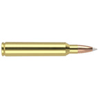 Nosler Trophy Grade 300 RUM (Remington Ultra Magnum) Ammunition 200 Grain AccuBond Polymer Tip Box of 20