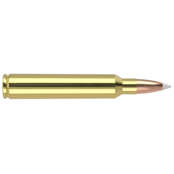Nosler Trophy Grade 300 RUM (Remington Ultra Magnum) Ammunition 200 Grain AccuBond Polymer Tip Box of 20
