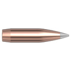 Hornady A-Tip 22 Caliber (.224 Diameter) Bullets 76 grain Polymer Tip Box of 10