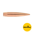 Sierra MatchKing 243 Caliber, 6mm (.243 Diameter) Bullets 110 grain Boat Tail Hollow Point Box of 250