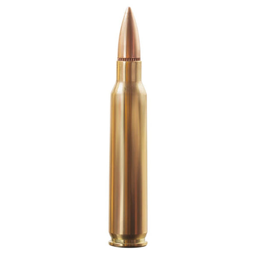 Aguila 5.56x45mm NATO Ammunition 55 Grain Full Metal Jacket Box of 30