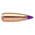 Nosler Ballistic Tip 243 Caliber, 6mm (.243 Diameter) Bullets 55 grain Polymer Tip Box of 100
