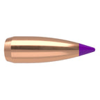 Nosler Ballistic Tip 243 Caliber, 6mm (.243 Diameter) Bullets 55 grain Polymer Tip Box of 100