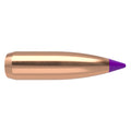 Nosler Ballistic Tip 243 Caliber, 6mm (.243 Diameter) Bullets 80 grain Polymer Tip Box of 100