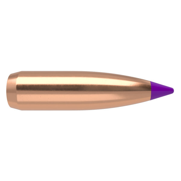 Nosler Ballistic Tip 243 Caliber, 6mm (.243 Diameter) Bullets 80 grain Polymer Tip Box of 100