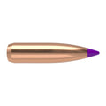 Nosler Ballistic Tip 243 Caliber, 6mm (.243 Diameter) Bullets 90 grain Polymer Tip Box of 50