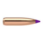 Nosler Ballistic Tip 243 Caliber, 6mm (.243 Diameter) Bullets 90 grain Polymer Tip Box of 50