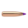 Nosler Ballistic Tip 243 Caliber, 6mm (.243 Diameter) Bullets 95 grain Polymer Tip Box of 50