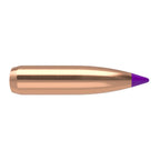Nosler Ballistic Tip 243 Caliber, 6mm (.243 Diameter) Bullets 95 grain Polymer Tip Box of 50