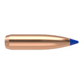 Nosler Ballistic Tip 25 Caliber (.257 Diameter) Bullets 115 grain Polymer Tip Box of 50