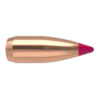 Nosler Ballistic Tip 20 Caliber (.204 Diameter) Bullets 32 grain Polymer Tip Box of 100
