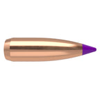 Nosler Ballistic Tip 243 Caliber, 6mm (.243 Diameter) Bullets 70 grain Polymer Tip Box of 100