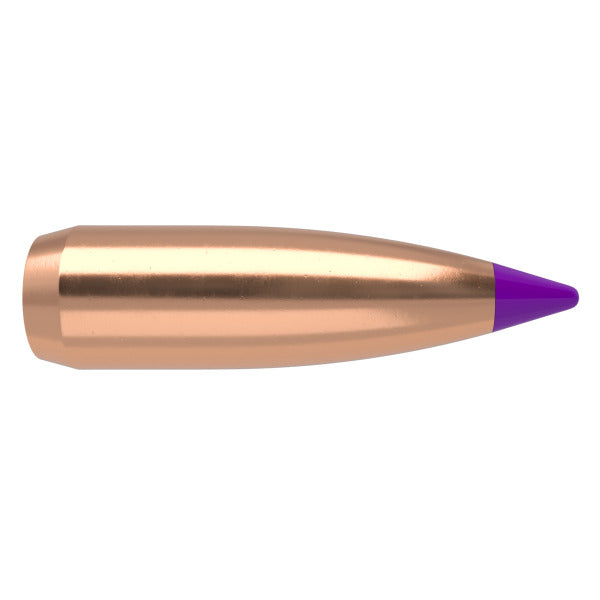 Nosler Ballistic Tip 243 Caliber, 6mm (.243 Diameter) Bullets 70 grain Polymer Tip Box of 100