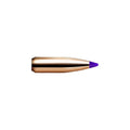 Nosler Ballistic Tip 243 Caliber, 6mm (.243 Diameter) Bullets 70 grain Polymer Tip Box of 250