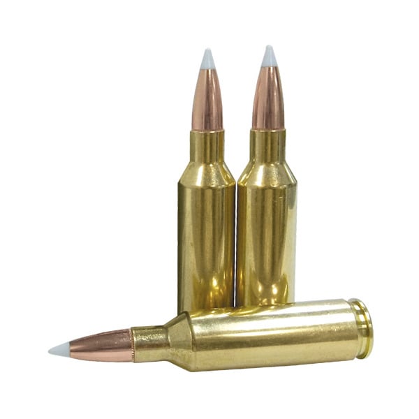 Nosler Trophy Grade 7mm Remington SAUM (Short Action Ultra Magnum) Ammunition 160 Grain AccuBond Polymer Tip Box of 20