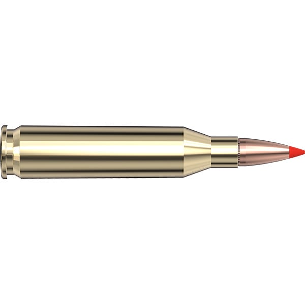 Hornady American Whitetail Tipped 243 Winchester Ammunition 95 Grain SST Polymer Tip Box of 20