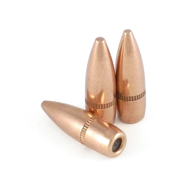 Prvi Partizan 22 Caliber (.224 Diameter) Bullets 55 grain Full Metal Jacket Bag of 100
