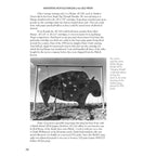 SHOOTING BUFFALO RIFLES OF THE OLD WEST