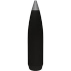 Winchester Varmint 25 WSSM (Winchester Super Short Magnum) Ammunition 85 Grain Ballistic Silvertip Polymer Tip Box of 20