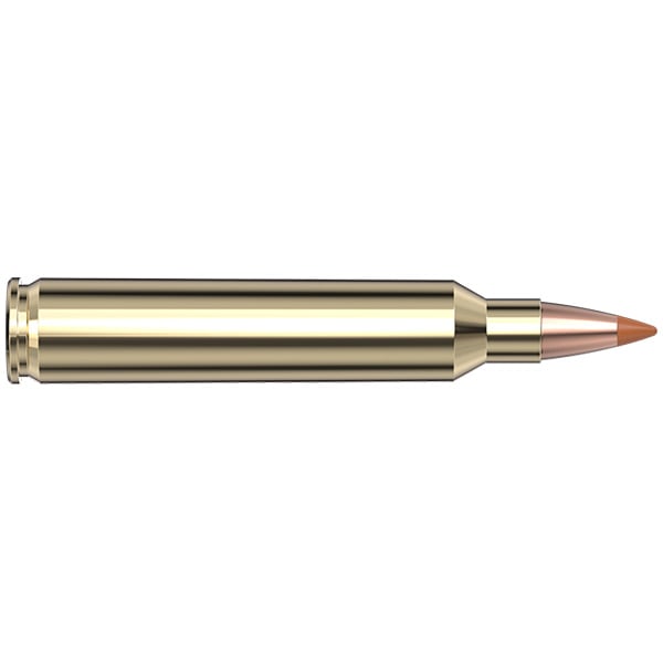 Hornady Superformance Varmint 204 Ruger Ammunition 24 Grain NTX Polymer Tip Box of 20