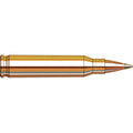 Hornady Superformance Varmint 223 Remington Ammunition 35 Grain NTX Polymer Tip Box of 20
