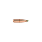 Nosler E-Tip 25 Caliber (.257 Diameter) Bullets 100 grain Polymer Tip Box of 50