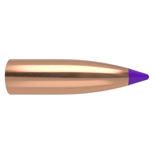 Nosler Ballistic Tip 243 Caliber, 6mm (.243 Diameter) Bullets 55 grain Polymer Tip Lead Free Box of 100