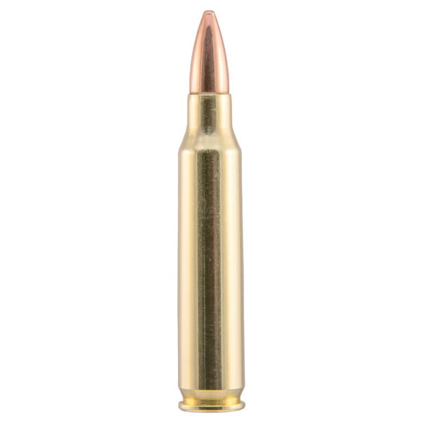 Hornady Custom 223 Remington Ammunition 55 Grain Full Metal Jacket Box of 50