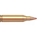 Hornady Superformance Varmint 243 Winchester Ammunition 75 Grain V-MAX Polymer Tip Box of 20