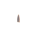 Prvi Partizan .310 Diameter Bullets 123 grain Full Metal Jacket Bag of 100