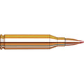 Hornady Superformance 243 Winchester Ammunition 95 Grain SST Polymer Tip Box of 20