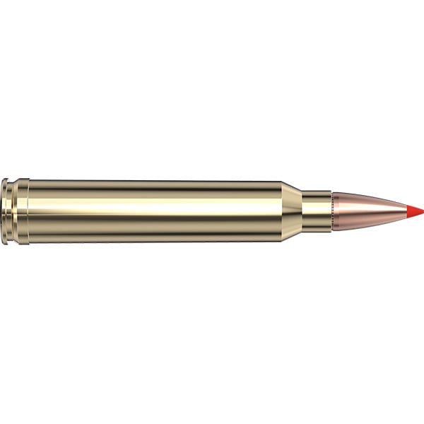 Hornady American Whitetail Tipped 300 Winchester Magnum Ammunition 165 Grain SST Polymer Tip Box of 20