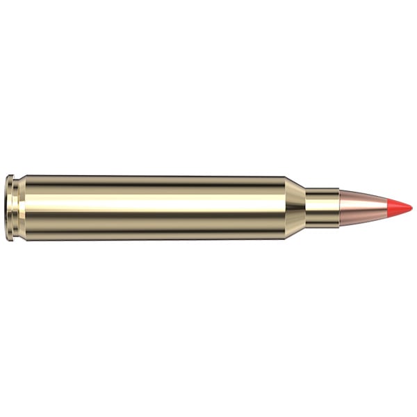 Hornady Superformance 204 Ruger Ammunition 32 Grain V-MAX Polymer Tip Box of 20