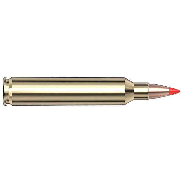 Hornady Superformance 204 Ruger Ammunition 40 Grain V-MAX Polymer Tip Box of 20