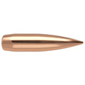 Nosler RDF 30 Caliber (.308 Diameter) Bullets 175 grain Boat Tail Hollow Point Box of 100