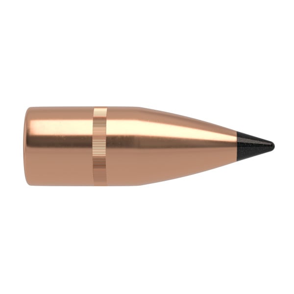 Nosler Varmageddon .310 Diameter Bullets 123 grain Polymer Tip Box of 100