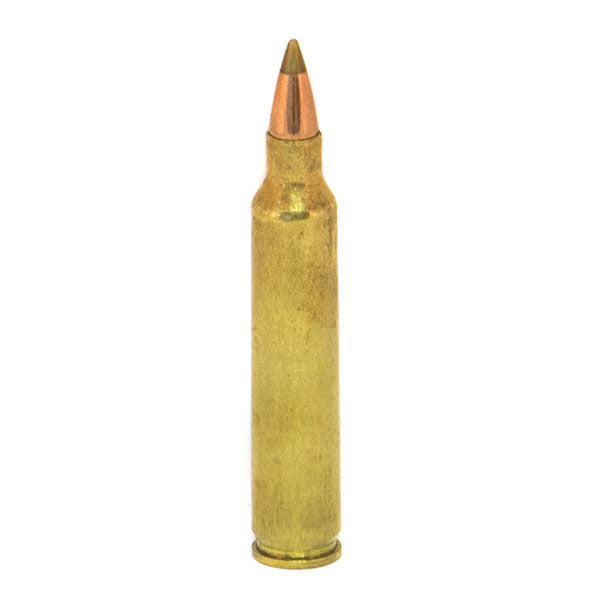 Remington Premier AccuTip-V 204 Ruger Ammunition 40 Grain Polymer Tip Box of 20