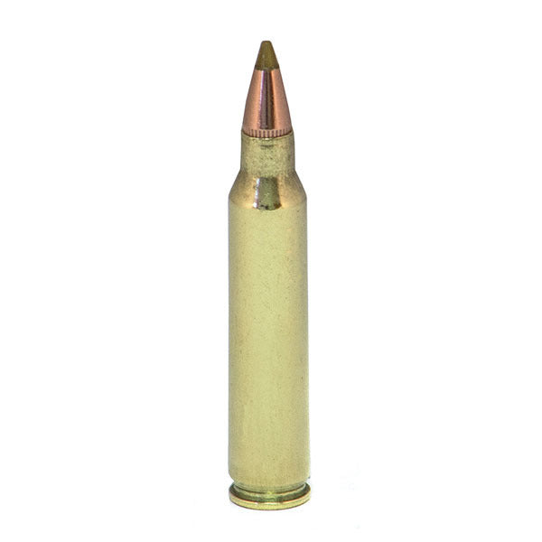 Remington Premier AccuTip-V 223 Remington Ammunition 50 Grain Polymer Tip Box of 20