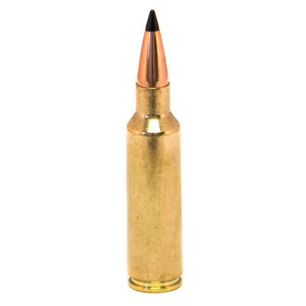 DoubleTap 300 WSM (Winchester Short Magnum) Ammunition 165 Grain Swift Scirocco II Polymer Tip Box of 20