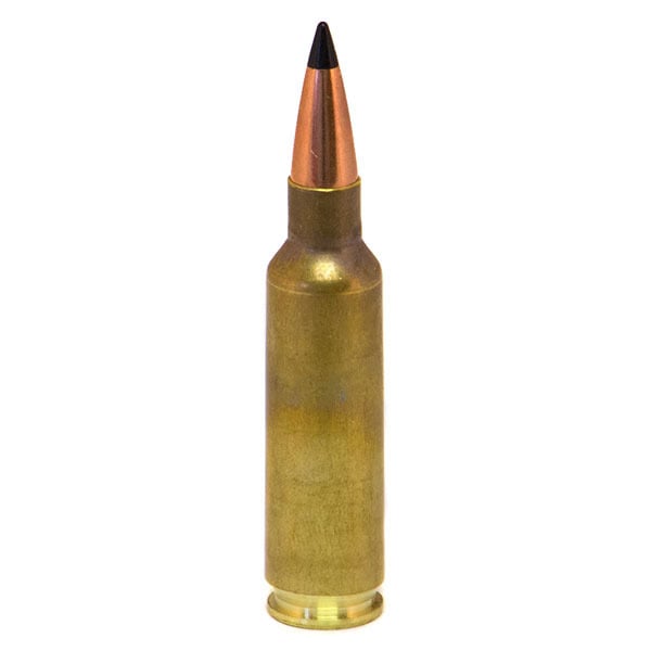 DoubleTap 300 WSM (Winchester Short Magnum) Ammunition 180 Grain Swift Scirocco II Polymer Tip Box of 20