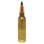 DoubleTap 300 WSM (Winchester Short Magnum) Ammunition 180 Grain Swift Scirocco II Polymer Tip Box of 20