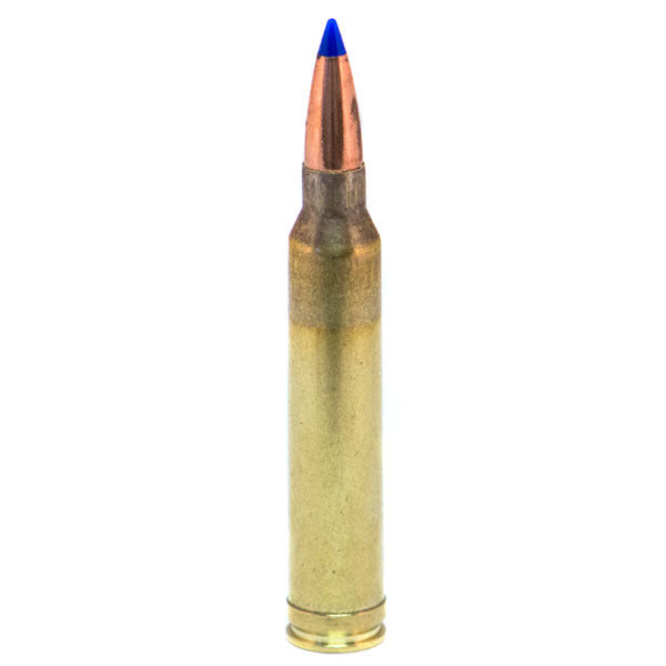 DoubleTap 300 Winchester Magnum Ammunition 175 Grain Barnes TTSX Polymer Tip Box of 20