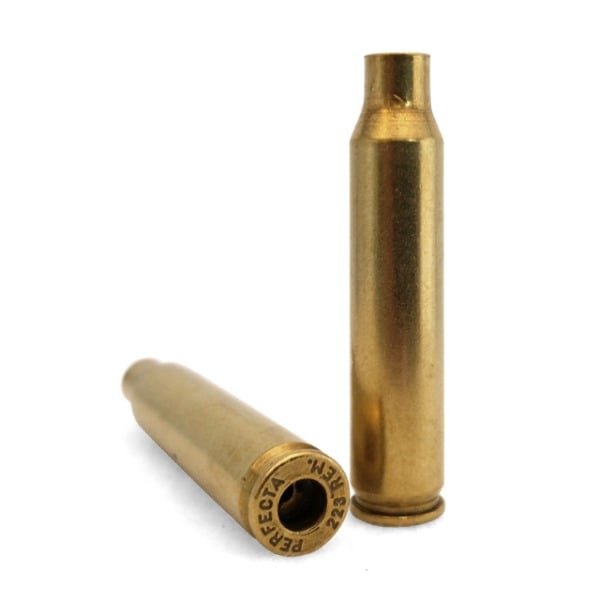 Lightning Reconditioned 223 Remington Brass Bag of 100