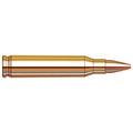 Frontier Cartridge 223 Remington Ammunition 55 Grain Hollow Point Box of 20