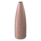 Speer Gold Dot 22 Caliber (.224 Diameter) Bullets 55 grain Hollow Point Box of 100