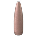 Speer Gold Dot 22 Caliber (.224 Diameter) Bullets 62 grain Hollow Point Box of 20