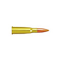Prvi Partizan 8x50R Lebel (8mm Lebel) Ammunition 200 Grain Full Metal Jacket Box of 20