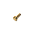 DILLON LOCATOR BUTTON #8